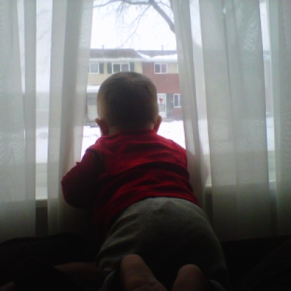 cool mind, curious gaze @ 8 months old (2010)