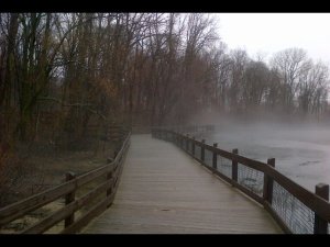 where mist + view from the dock's end 1