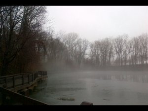 where mist + view from the dock's end 4